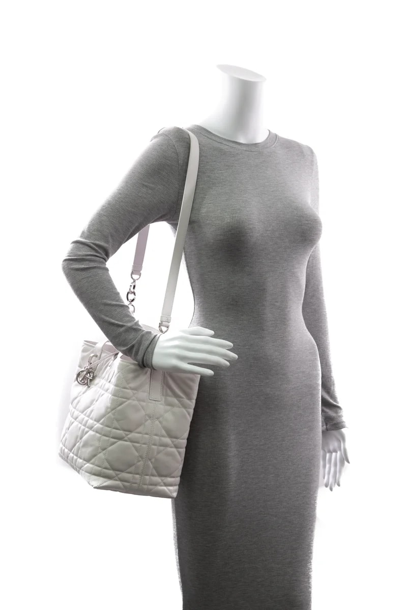 Small Dior Toujours Vertical 2