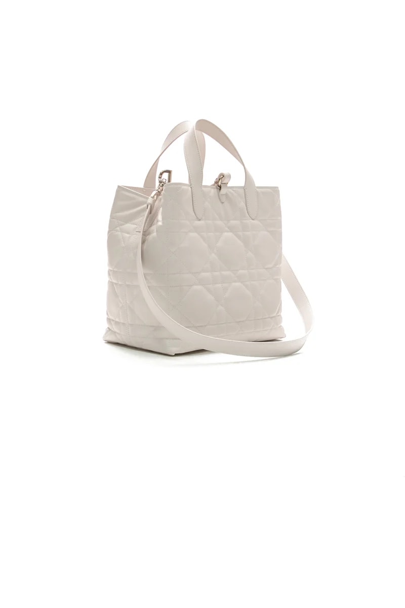 Small Dior Toujours Vertical 3