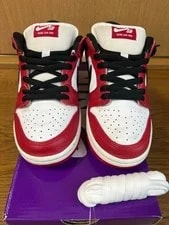 7.0US Nike Sb Dunk Low Pro 25Cm 2