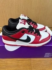 7.0US Nike Sb Dunk Low Pro 25Cm 3