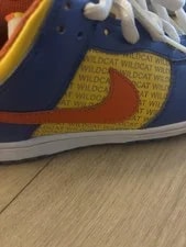 Nike SB - Custom Wildcat 3
