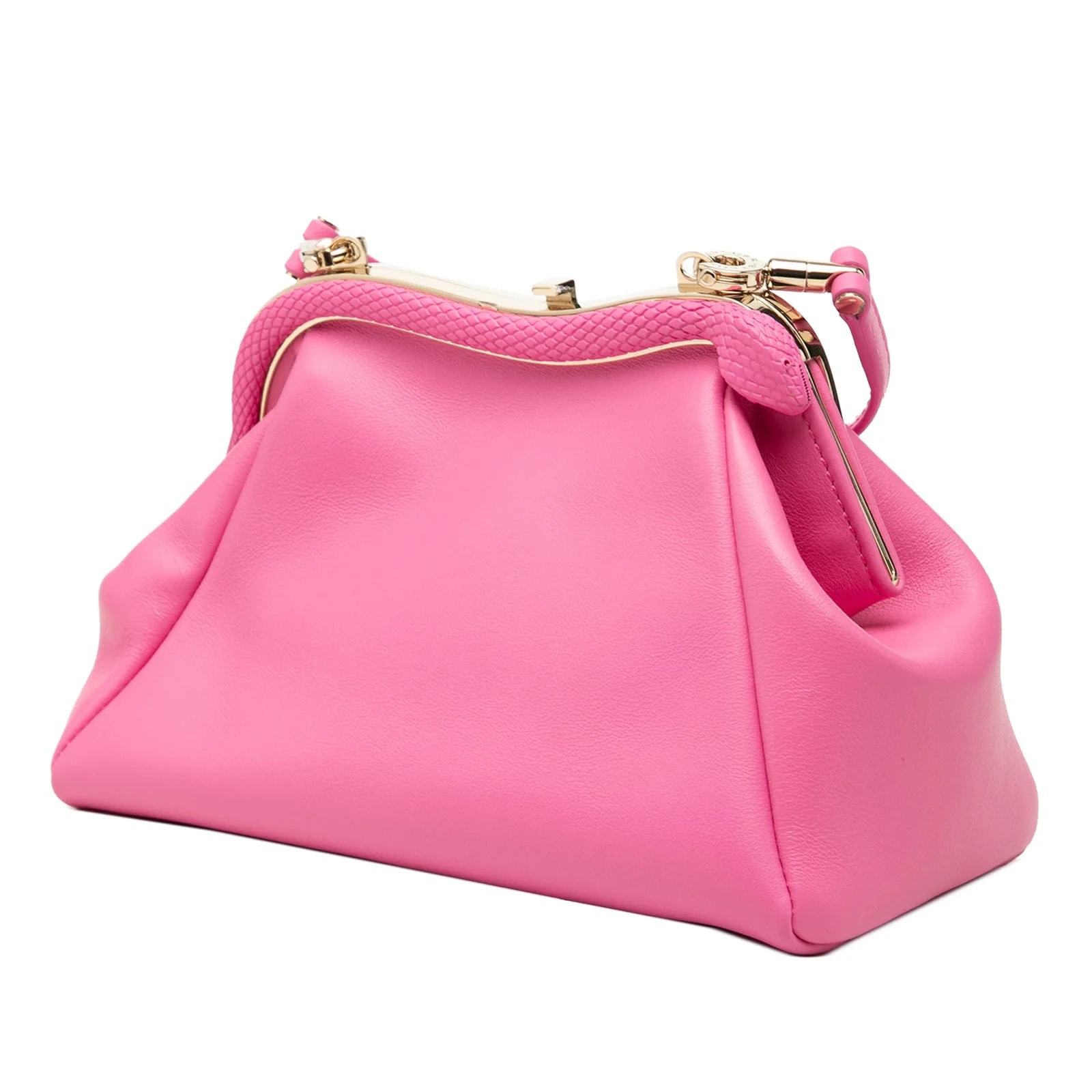 Serpentine Crossbody 2