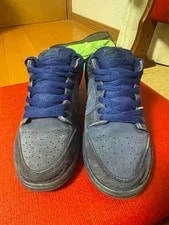 8.0US Nike Sb Dunk Low Moon 313170-444 LTD Original Collection 2