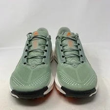 Nike ACG Pegasus Trail , Size 9 HV8116-310 3