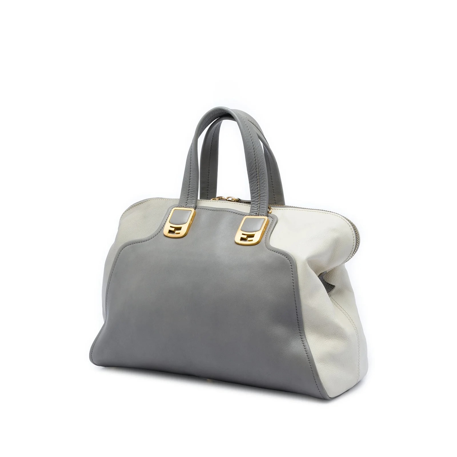 Large Chameleon Satchel 2