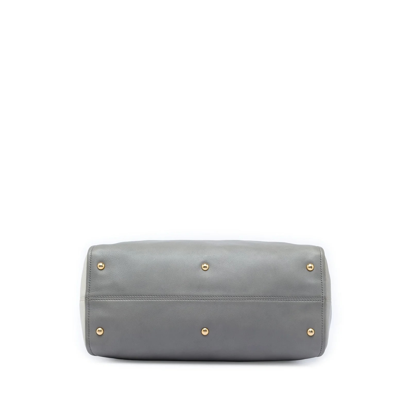 Large Chameleon Satchel 3