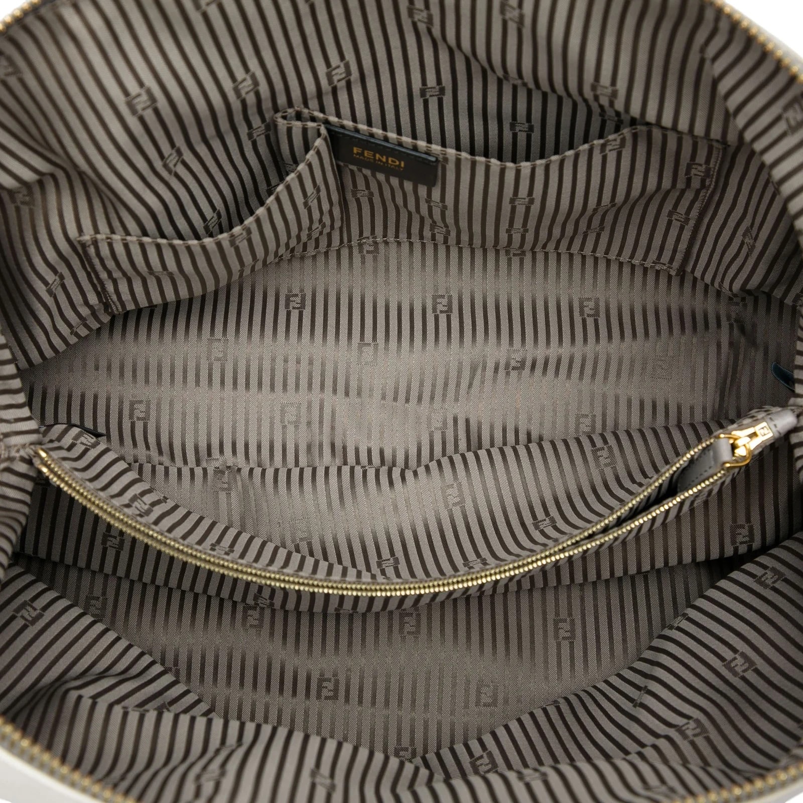 Large Chameleon Satchel 4