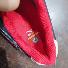Mizuno Golf Shoes 245 Golf Model JPN Limited Edition Vhtf Sport 3