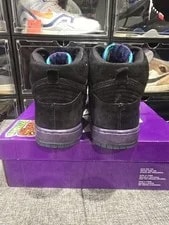 Nike SB Dunk High Grape 2015 313171-027 3