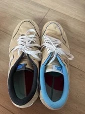 Nike SB ’s Low Top Lace-Up Solid 2