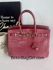 Hermès — Hermès Birkin 35 Bois de Matte Palladium — Handbag — resale