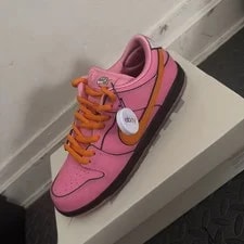 Nike SB Dunk Low Powerpuff Blossom 2023 ’s Size 10.5 Worn Once 2
