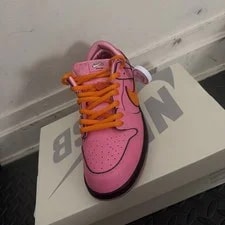 Nike SB Dunk Low Powerpuff Blossom 2023 ’s Size 10.5 Worn Once 3