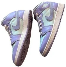Air Jordan 1 Mid Pulse 2