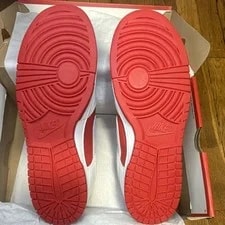 Nike Dunk Low Retro Championship / DD1391-600 2