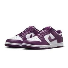 Nike Dunk Low Retro /Viotech- (DV0833 107) 3