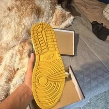 Jordan 1 Pollen 3