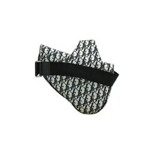 Authentic Dior Homme Sling Saddle 4