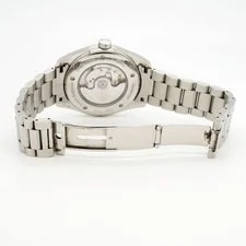 Omega Seamaster Aqua Terra 2502.33 Silver Dial 4