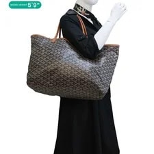 Goyard Saint Louis Chevron Print 4