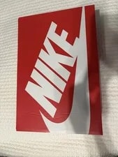 With Box Nike Dunk Low Retro ’s 3
