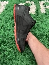 Nike SB Dunk Low Size 8M | Ships Fast 3