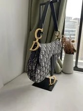 Dior Medium Saddle France 2