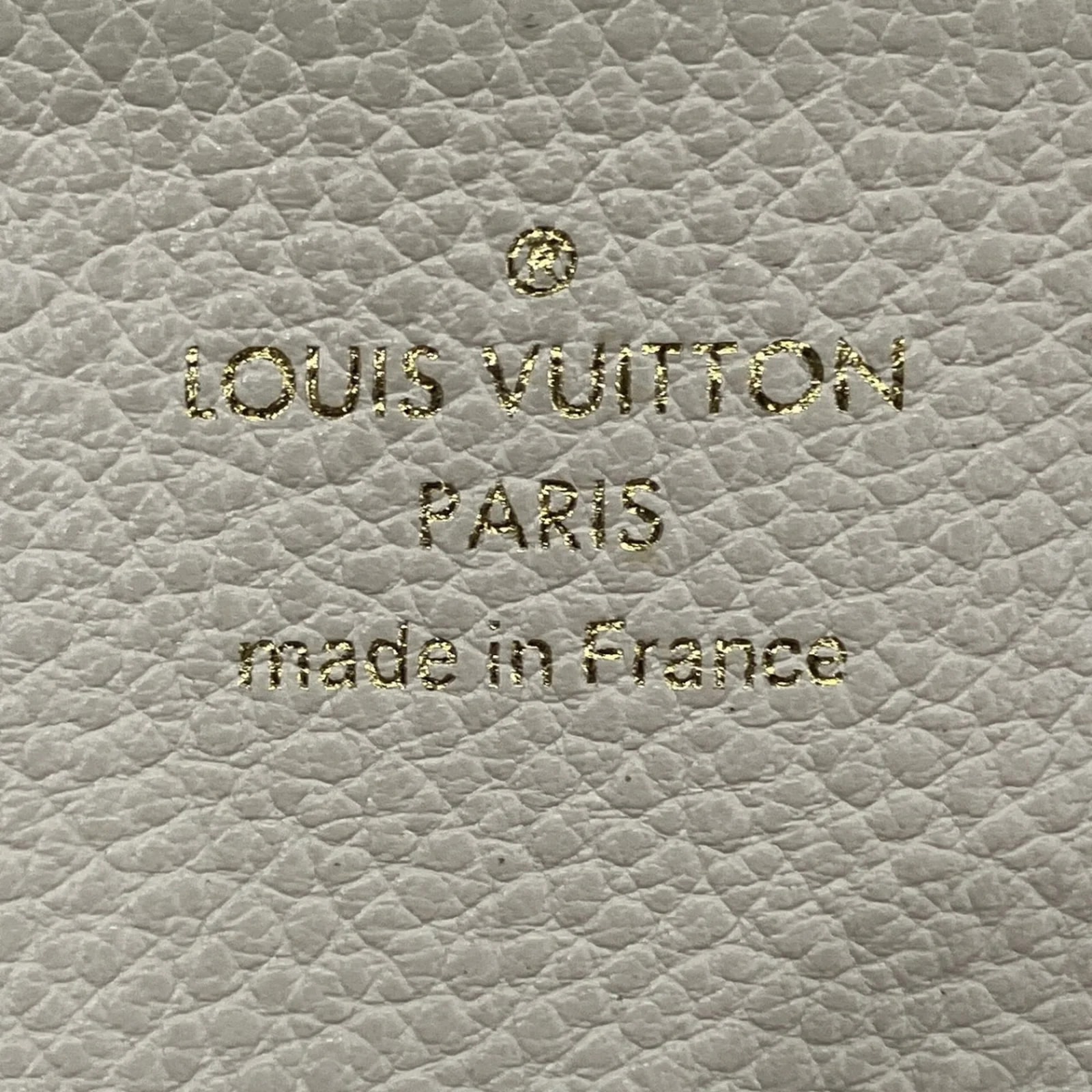 Louis Vuitton Neige Wallet (Bi-Fold) 4