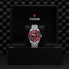 Tudor Black Bay 58 39mm Burg Dial M7939A1A0RU-0001 Jubilee Bracelet 3