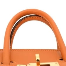 Hermes Birkin 25 Vaux 4