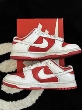 Mike Dunk Low Champion 2