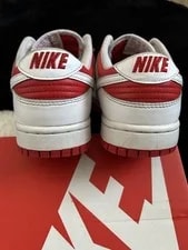 Mike Dunk Low Champion 3