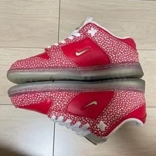 9.0US Stingwater Nike Sb Dunk Low 2