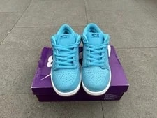 Nike SB Dunk Low ‘ Fury’ 2