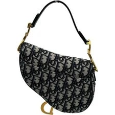 Dior Saddle #OKB6978 4