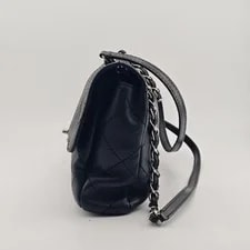 Chanel Coco Classic Oriental Single Flap 2