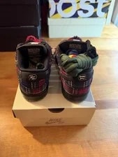  IN Hand * Nardwuar X Nike SB Dunk Low 2025 4