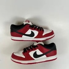 Nike SB Dunk Low Pro J-Pack Varsity BQ6817-600 11 2