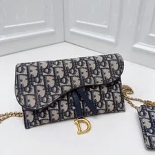 Christian Dior Saddle WOC Chain Crossbody GHW 2