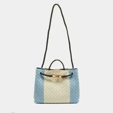 Bottega Veneta Andiamo Medium 3