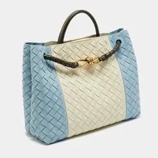 Bottega Veneta Andiamo Medium 4