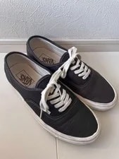 8.0US US Planning Vans Authentic 44Dx LTD Coll 3