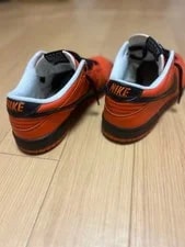 Nike Dunk Low Euro Netherlands Holland 307378-801 2