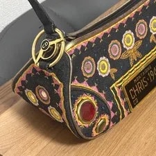 Dior Cadillac John Galliano Saddle 2001 Embroidery 4