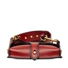 Dior Mini D Bee Saddle Dark 3