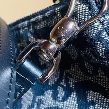 Dior Saddle Trotter X 3
