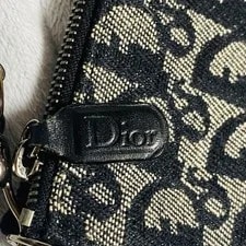 Dior Saddle Trotter X 4