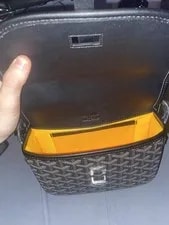 Goyard Interior Original Dust 3