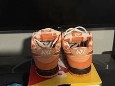 10.5 Nike SB Dunk Low Concepts Lobster / / Low Top FD8776-800 3