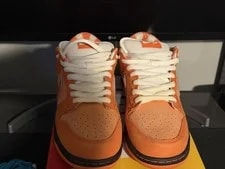 10.5 Nike SB Dunk Low Concepts Lobster / / Low Top FD8776-800 4